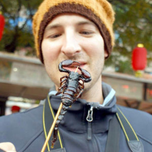 Alexander Zimmer