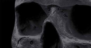 Blauer Tod: Im Netz des Terrors