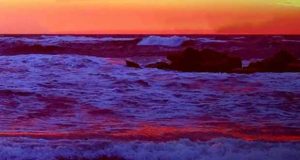 Blut in der Ostsee - Krimi