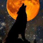 Crys Tale of the Moon: Werwölfe