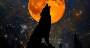 Crys Tale of the Moon: Werwölfe