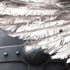 Dark Angels