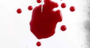 Dein Fleisch, mein Blut