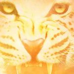 Der Legionär: Im Schatten des Leoparden
