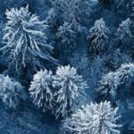 Der Teufel vom Brocken