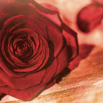 Die Magie der Liebe