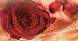 Die Magie der Liebe