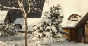 Die Schneemänner
