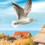 Die unbekannte Tote