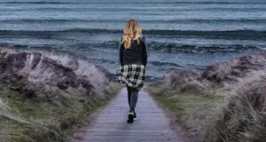 Die vollkommene Frau