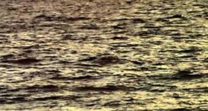 Ein Fall für Fuchs & Haas: Sechs am Strand