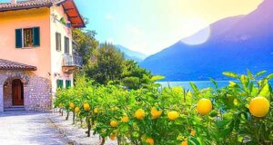 Ein kleiner Hauch Zitronenduft am Gardasee