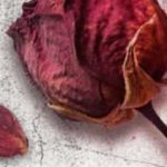 Fürchte den Tod