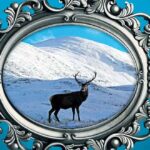 Gegenwind in den Highlands