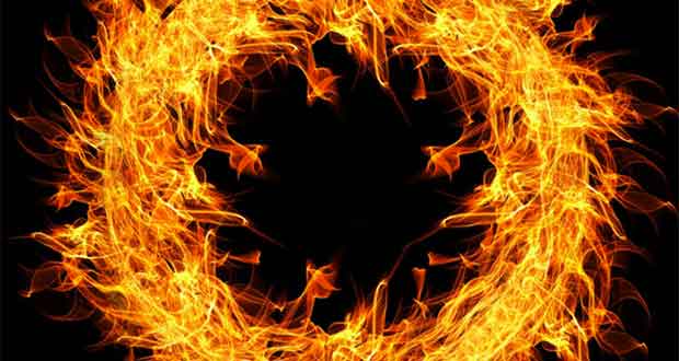 Im Feuer