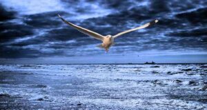 Massengrab am Meer