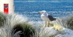 Mordglitzer Ostsee