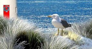 Mordglitzer Ostsee