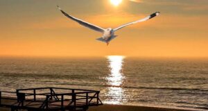 Sylt in Flammen