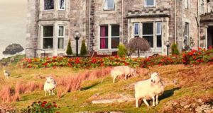 Sehnsucht nach Rose Cottage