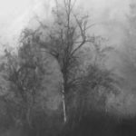 Still wie der Tod: Psychothriller